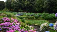 225 Cornwall, Trebah Garden &ndash; &copy; Konrad Füssel (Eberhardt TRAVEL)
