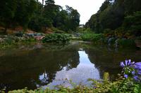 226 Cornwall, Trebah Garden &ndash; &copy; Konrad Füssel (Eberhardt TRAVEL)