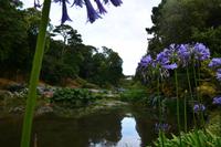 228 Cornwall, Trebah Garden &ndash; &copy; Konrad Füssel (Eberhardt TRAVEL)