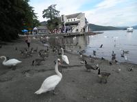 Lake Windermere &ndash; &copy; Constanze Hölig (Eberhardt TRAVEL)