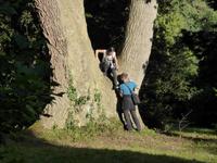 Killerton House - Familie Neuer in Killerton