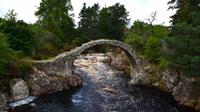 281 Carrbridge &ndash; &copy; Konrad Füssel (Eberhardt TRAVEL)