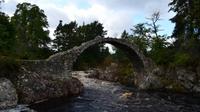 283 Carrbridge &ndash; &copy; Konrad Füssel (Eberhardt TRAVEL)