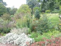 013__Killerton House & Gardens