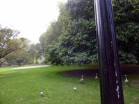 St. James Park &ndash; &copy; Grit Wendelberger (Eberhardt TRAVEL)