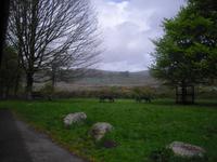 Dartmoor - Postbridge &ndash; &copy; Norbert Binder (Eberhardt TRAVEL)