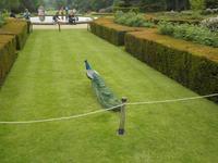 Warwick Castle &ndash; &copy; Constanze Hölig (Eberhardt TRAVEL)