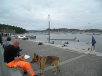 Conwy &ndash; &copy; Constanze Hölig (Eberhardt TRAVEL)