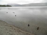 Loch Lomond &ndash; &copy; Constanze Hölig (Eberhardt TRAVEL)