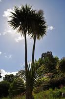 St. Michael's Mount &ndash; &copy; Martin Büchner (Eberhardt TRAVEL)