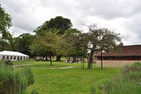 Glastonbury Abbey &ndash; &copy; Martin Büchner (Eberhardt TRAVEL)