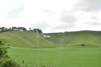 White Horse &ndash; &copy; Martin Büchner (Eberhardt TRAVEL)