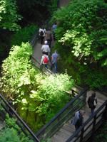 Isle of Wight - Shanklin Chine &ndash; &copy; Norbert Binder (Eberhardt TRAVEL)
