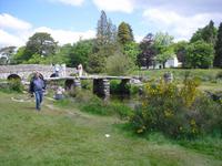 Dartmoor &ndash; &copy; Norbert Binder (Eberhardt TRAVEL)