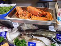 Looe - Cornwall &ndash; &copy; Norbert Binder (Eberhardt TRAVEL)