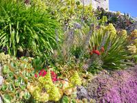Minack Theatre &ndash; &copy; Norbert Binder (Eberhardt TRAVEL)