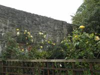 Stirling &ndash; &copy; Constanze Hölig (Eberhardt TRAVEL)
