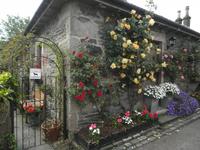 Luss Loch Lomond &ndash; &copy; Constanze Hölig (Eberhardt TRAVEL)