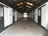 Nationalgestüt Kildare &ndash; &copy; Constanze Hölig (Eberhardt TRAVEL)