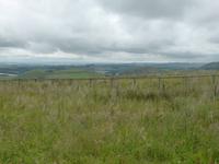 Cheviot Hills &ndash; &copy; Claudia Bernhardt (Eberhardt TRAVEL)