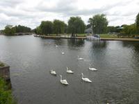 Stratford upon Avon  &ndash; &copy; Claudia Bernhardt (Eberhardt TRAVEL)