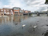 Windsor 