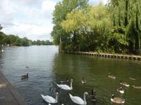 Windsor  &ndash; &copy; Claudia Bernhardt (Eberhardt TRAVEL)