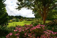 0103 Killerton House & Garden &ndash; &copy; Konrad Füssel (Eberhardt TRAVEL)