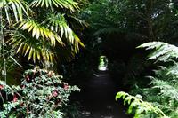 251 The Lost Gardens of Heligan &ndash; &copy; Konrad Füssel (Eberhardt TRAVEL)