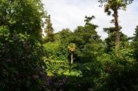 252 The Lost Gardens of Heligan &ndash; &copy; Konrad Füssel (Eberhardt TRAVEL)