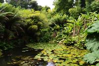 253 The Lost Gardens of Heligan &ndash; &copy; Konrad Füssel (Eberhardt TRAVEL)