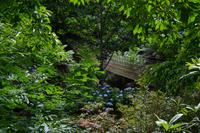 255 The Lost Gardens of Heligan &ndash; &copy; Konrad Füssel (Eberhardt TRAVEL)