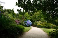 259 The Lost Gardens of Heligan &ndash; &copy; Konrad Füssel (Eberhardt TRAVEL)