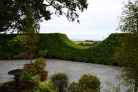261 The Lost Gardens of Heligan &ndash; &copy; Konrad Füssel (Eberhardt TRAVEL)