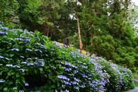 334 Greenway House, Garden &ndash; &copy; Konrad Füssel (Eberhardt TRAVEL)