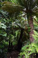 337 Greenway House, Garden &ndash; &copy; Konrad Füssel (Eberhardt TRAVEL)