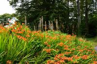 343 Greenway House, Garden &ndash; &copy; Konrad Füssel (Eberhardt TRAVEL)