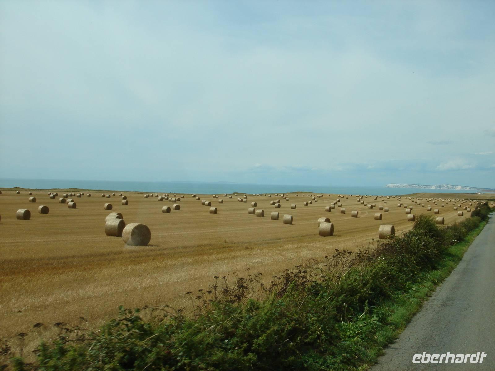 Schafe? Nein, Heurollen &ndash; &copy; Stefan Jahnke (Eberhardt TRAVEL)