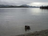 Loch Lomond &ndash; &copy; Peter Rudolph (Eberhardt TRAVEL)