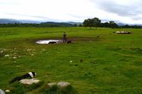 0118 Kingcraig, Schäfer Neils and the working Sheepdogs &ndash; &copy; Konrad Füssel (Eberhardt TRAVEL)