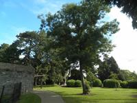 Dublin &ndash; &copy; Constanze Hölig (Eberhardt TRAVEL)