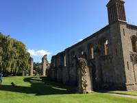 Glastonbury Abbey &ndash; &copy; Ralf Kuchenbecker (Eberhardt TRAVEL)