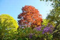 205 Bodnant Garden &ndash; &copy; Konrad Füssel (Eberhardt TRAVEL)