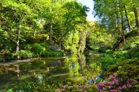 215 Bodnant Garden &ndash; &copy; Konrad Füssel (Eberhardt TRAVEL)