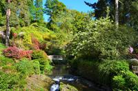 226 Bodnant Garden &ndash; &copy; Konrad Füssel (Eberhardt TRAVEL)