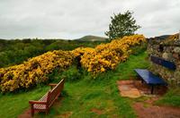 361 Borders, Scotts View &ndash; &copy; Konrad Füssel (Eberhardt TRAVEL)