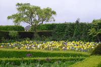 Arundel - Garten &ndash; &copy; Norbert Binder (Eberhardt TRAVEL)