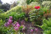 Killerton Garden &ndash; &copy; Norbert Binder (Eberhardt TRAVEL)