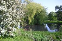 Killerton Garden &ndash; &copy; Norbert Binder (Eberhardt TRAVEL)