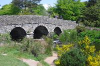 Postbridge - Dartmoor &ndash; &copy; Norbert Binder (Eberhardt TRAVEL)